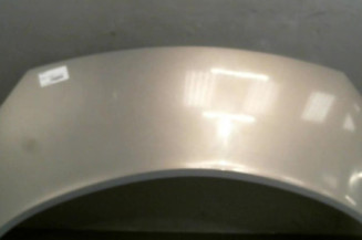 Capot RENAULT SCENIC 2 Photo n°1