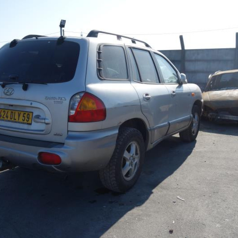 Porte avant gauche HYUNDAI SANTA FE 1 Photo n°6