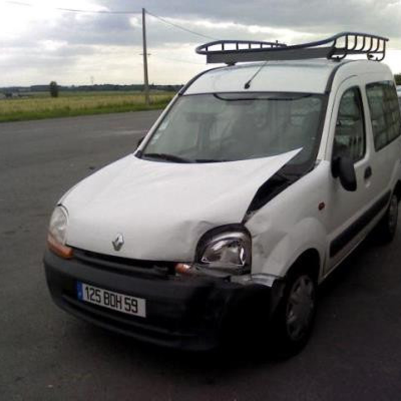 Porte de coffre droit RENAULT KANGOO 1 Photo n°3