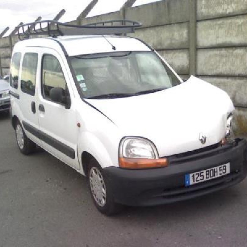 Porte de coffre droit RENAULT KANGOO 1 Photo n°4
