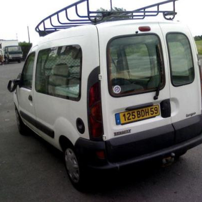 Porte de coffre droit RENAULT KANGOO 1 Photo n°6