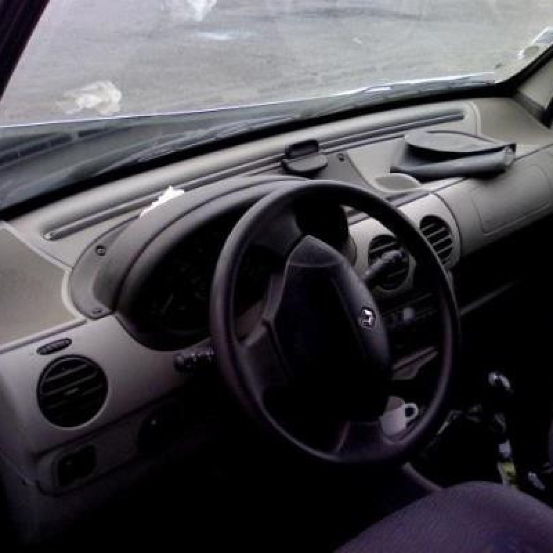 Porte de coffre droit RENAULT KANGOO 1 Photo n°7