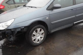 Porte arriere gauche CITROEN C5 1