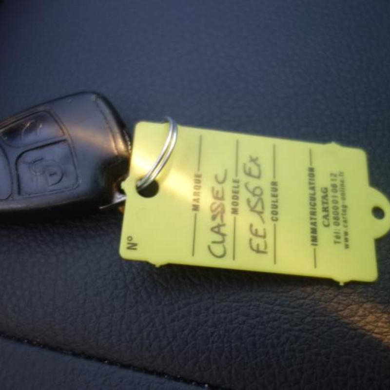 Porte arriere gauche MERCEDES CLASSE C 203 Photo n°11