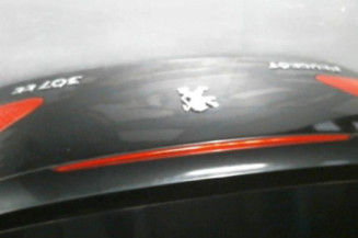 Malle/Hayon arriere PEUGEOT 307