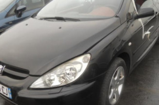 Malle/Hayon arriere PEUGEOT 307