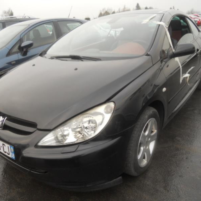Malle/Hayon arriere PEUGEOT 307 Photo n°15