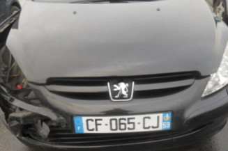 Malle/Hayon arriere PEUGEOT 307
