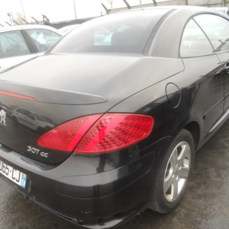 Malle/Hayon arriere PEUGEOT 307 Photo n°18
