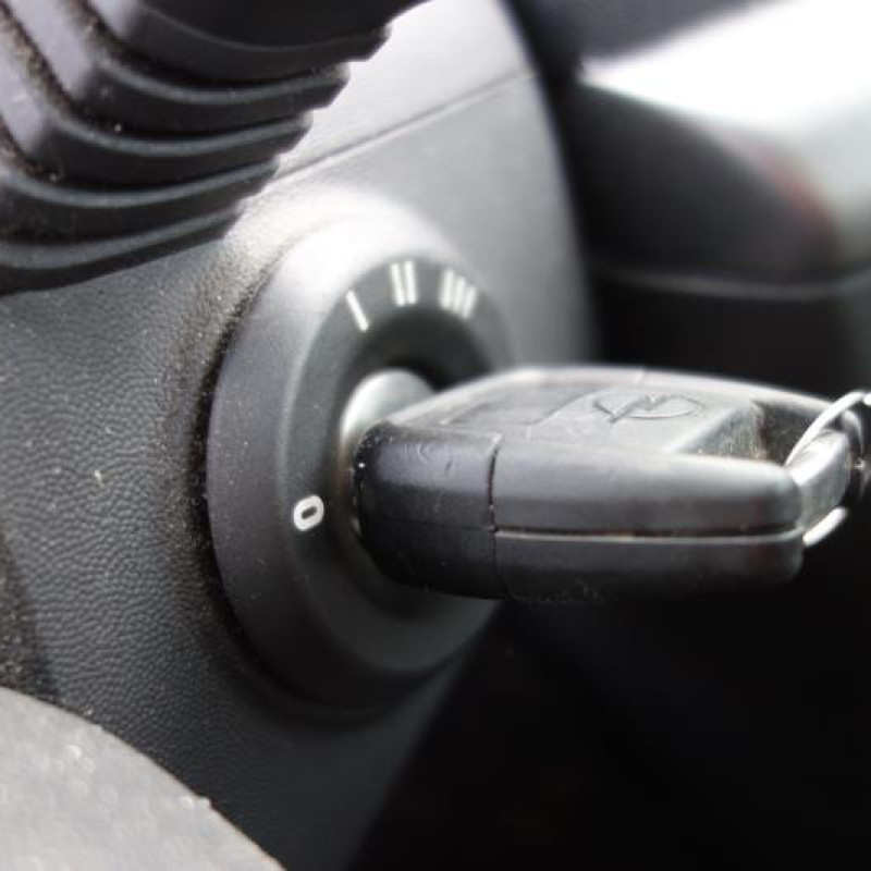 Malle/Hayon arriere OPEL VECTRA C Photo n°10