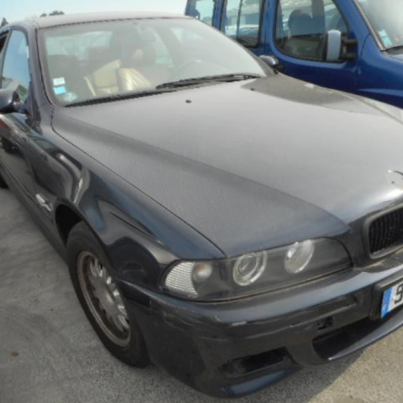 Porte avant gauche BMW SERIE 5 E39 Photo n°5