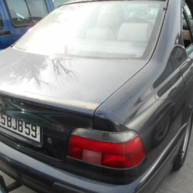 Porte avant gauche BMW SERIE 5 E39 Photo n°6