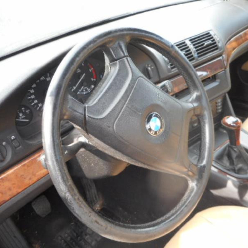 Porte avant gauche BMW SERIE 5 E39 Photo n°8
