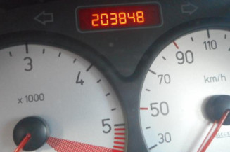 Porte arriere gauche PEUGEOT 206