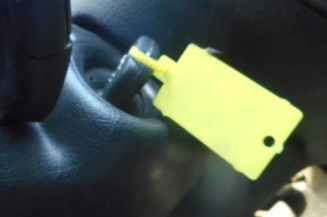Porte arriere gauche PEUGEOT 206