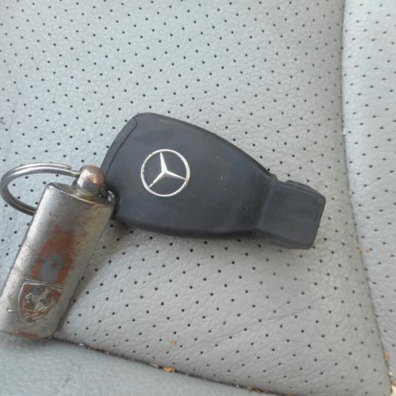 Porte avant gauche MERCEDES CLASSE E 211 Photo n°12