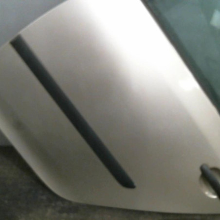 Porte arriere gauche VOLKSWAGEN GOLF 5