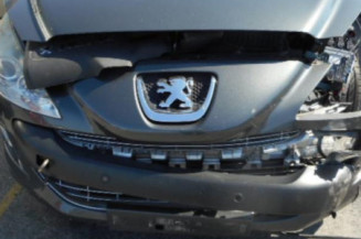 Bouton de warning PEUGEOT 308 1