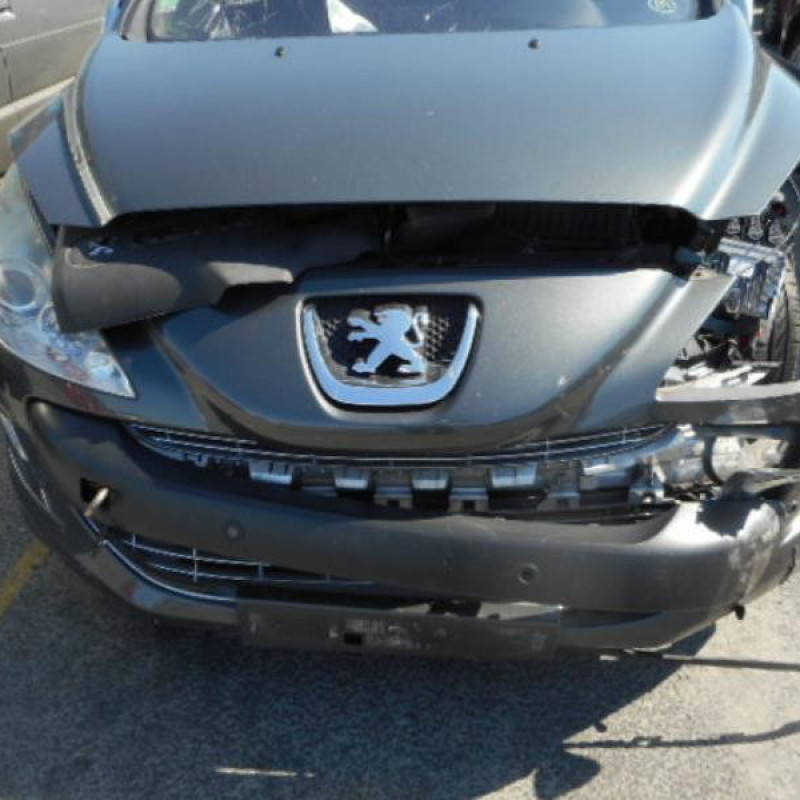 Bouton de warning PEUGEOT 308 1 Photo n°5