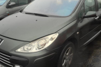 Porte arriere droit PEUGEOT 307