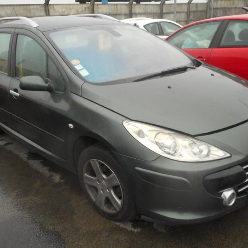 Porte arriere droit PEUGEOT 307 Photo n°5