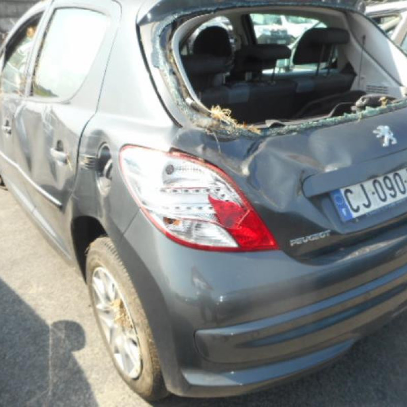 Poignee interieur avant gauche PEUGEOT 207 Photo n°7