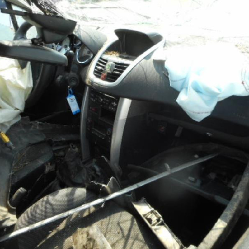 Poignee interieur avant gauche PEUGEOT 207 Photo n°8