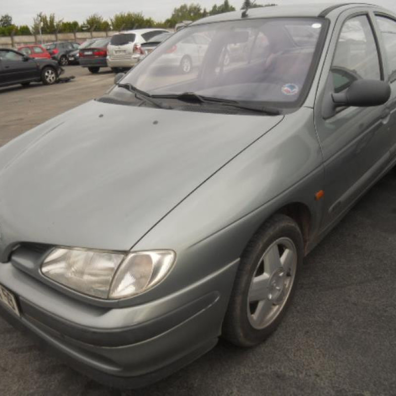 Malle/Hayon arriere RENAULT MEGANE 1 Photo n°3