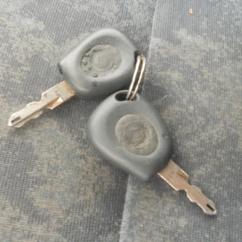 Malle/Hayon arriere RENAULT MEGANE 1 Photo n°9