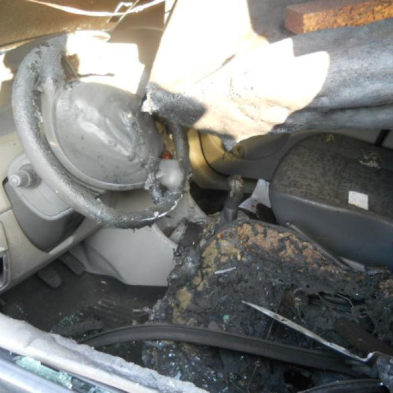 Capot RENAULT MODUS Photo n°6