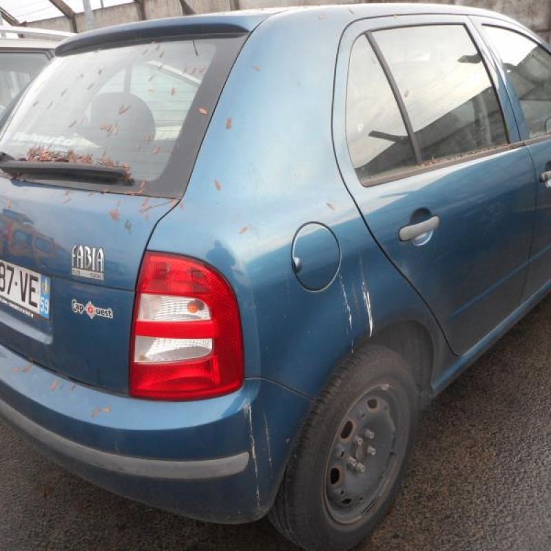 Porte avant gauche SKODA FABIA 1 Photo n°3