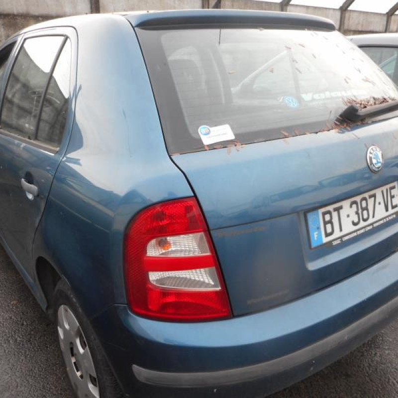 Porte avant gauche SKODA FABIA 1 Photo n°4