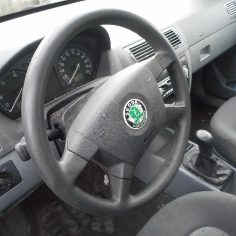 Porte avant gauche SKODA FABIA 1 Photo n°5