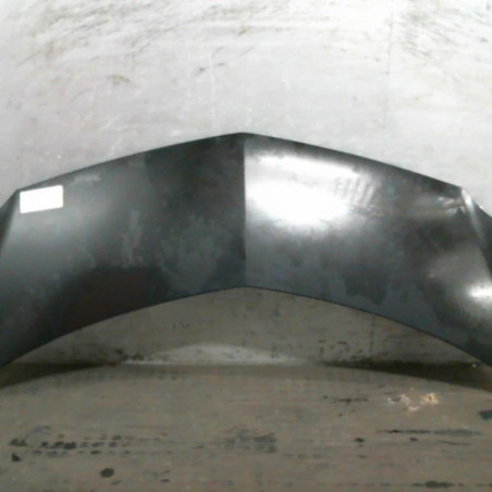 Capot RENAULT MODUS Photo n°1