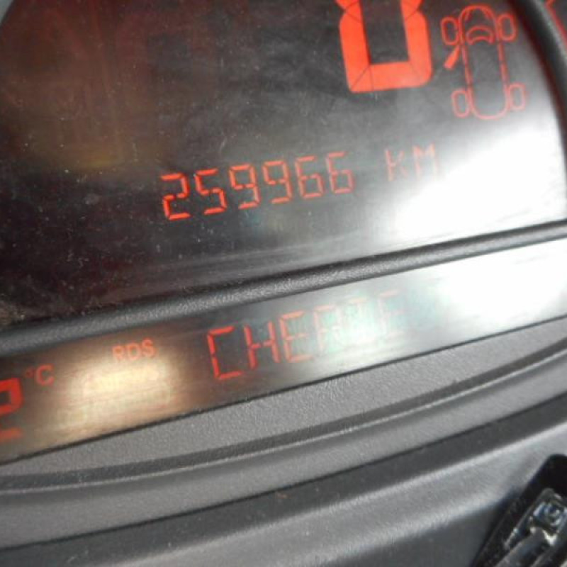 Capot RENAULT MODUS Photo n°9