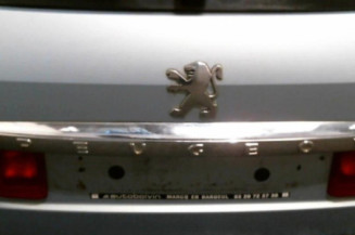 Malle/Hayon arriere PEUGEOT 407
