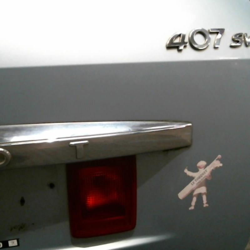 Malle/Hayon arriere PEUGEOT 407 Photo n°4