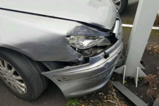 Porte arriere gauche PEUGEOT 607