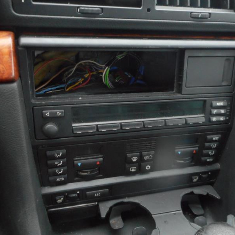 Porte arriere gauche BMW SERIE 7 E38 Photo n°11