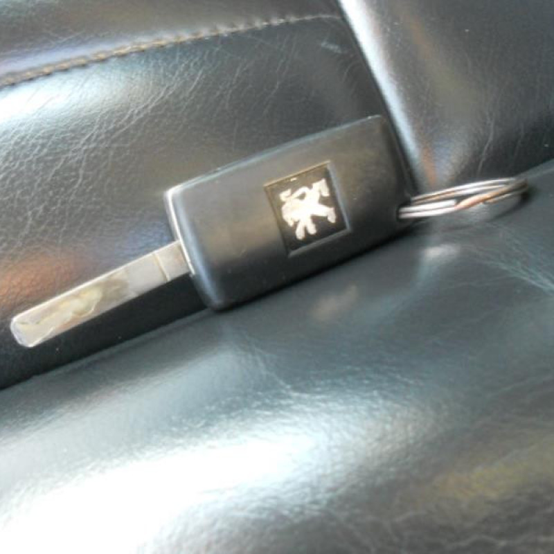 Poignee porte avant droit PEUGEOT 407 Photo n°11