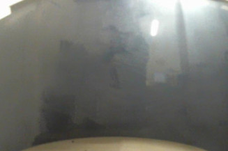 Capot VOLKSWAGEN BORA Photo n°1