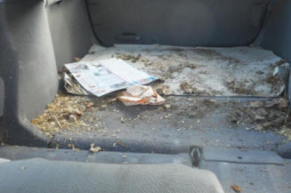 Serrure avant droit PEUGEOT 406
