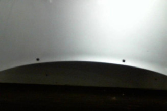 Capot FIAT ULYSSE 1 Photo n°1