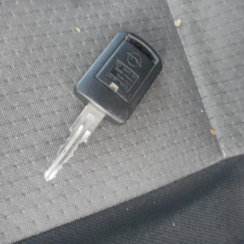 Porte avant gauche OPEL MERIVA A Photo n°10