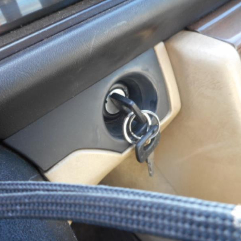 Porte arriere droit MERCEDES 250 W124 Photo n°12