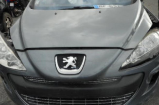 Bouton de warning PEUGEOT 308 1