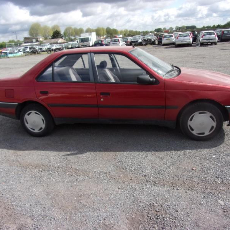 Calandre PEUGEOT 405 Photo n°3