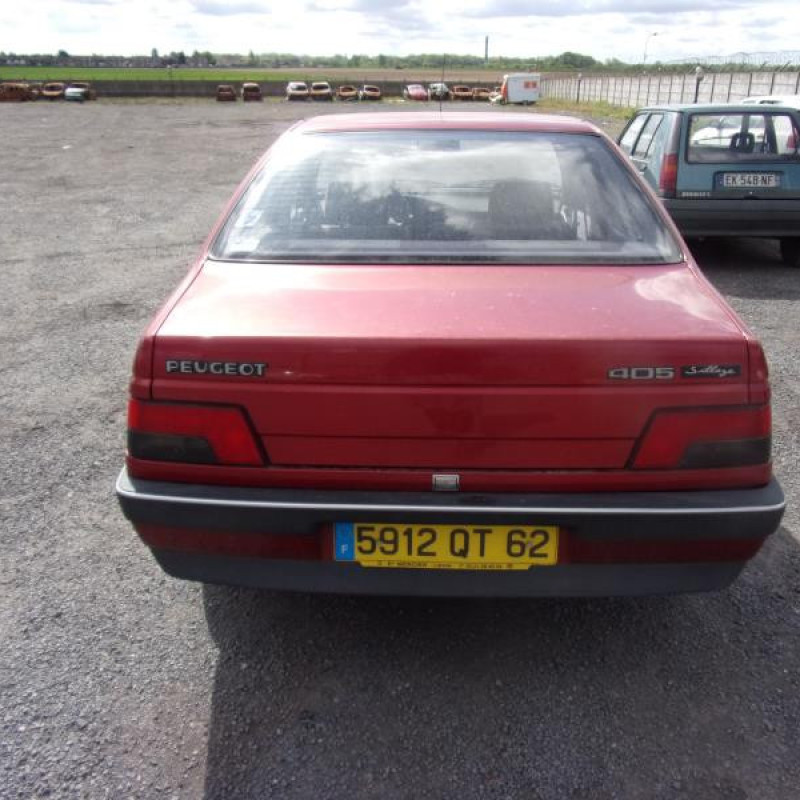 Calandre PEUGEOT 405 Photo n°4