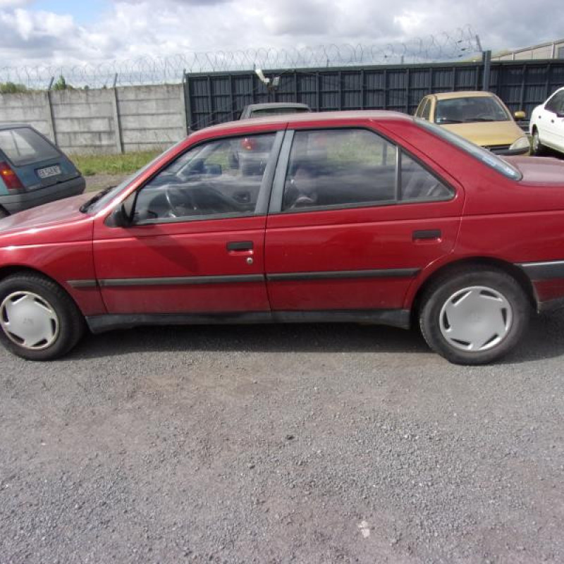 Calandre PEUGEOT 405 Photo n°5