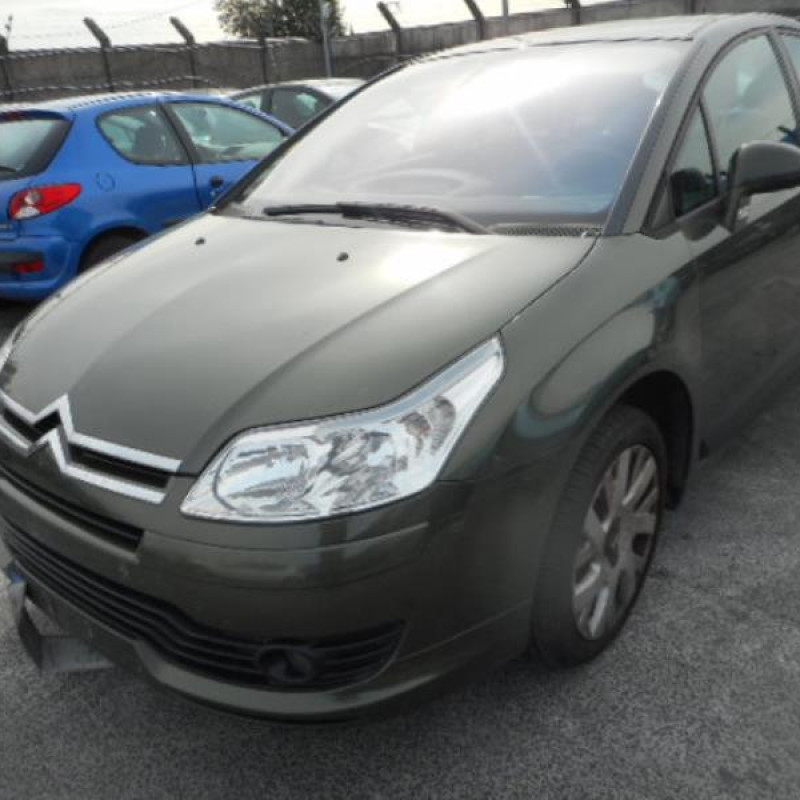 Pulseur d'air CITROEN C4 1 Photo n°3